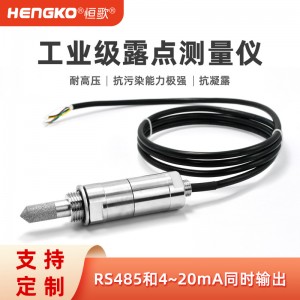 恒溫恒濕箱露點儀_微型露點變送器高精度