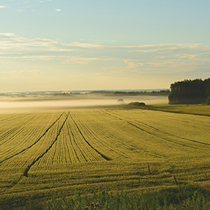農(nóng)業(yè)大棚溫濕度監(jiān)控系統(tǒng)如何進行升級呢？